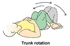 Trunk rotation